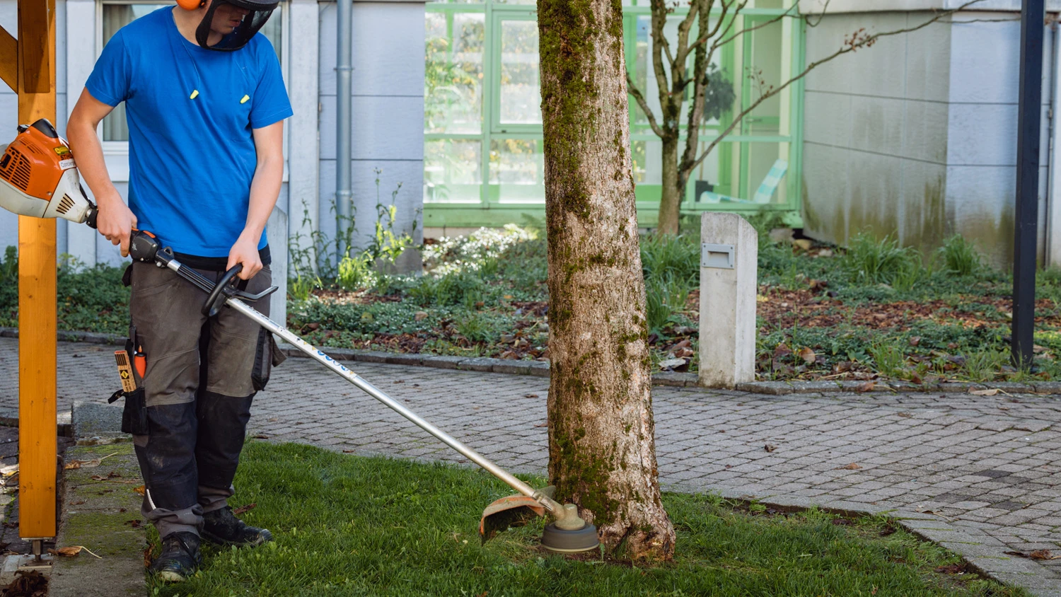 Jeune apprenti coupant l'herbe autour d'un arbre à l'aide d'une machine.